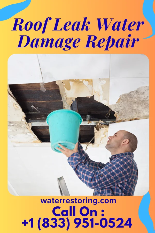 Roof Leak Water Damage Repair in Ranchette Estates, TX